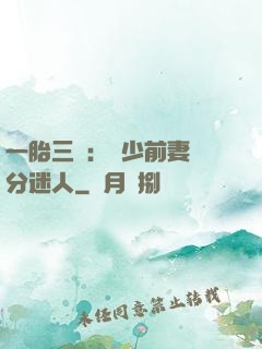 一胎三寶：陸少前妻過分迷人