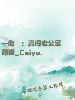 一胎兩寶：高冷老公呆萌妻
