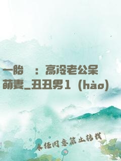 一胎兩寶：高冷老公呆萌妻
