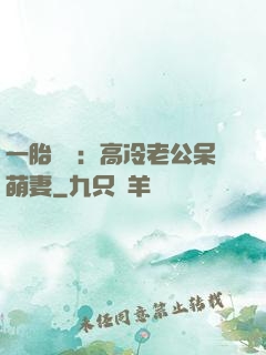 一胎兩寶：高冷老公呆萌妻
