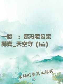 一胎兩寶：高冷老公呆萌妻