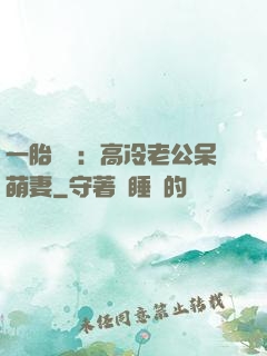 一胎兩寶：高冷老公呆萌妻