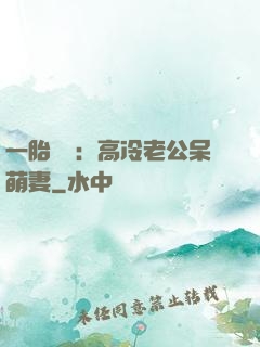 一胎兩寶：高冷老公呆萌妻