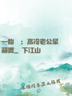 一胎兩寶：高冷老公呆萌妻
