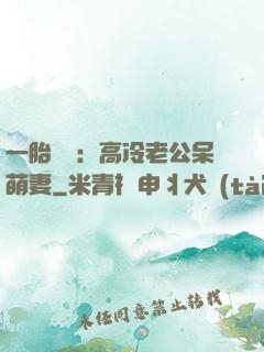 一胎兩寶：高冷老公呆萌妻