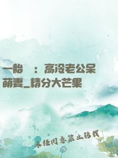 一胎兩寶：高冷老公呆萌妻