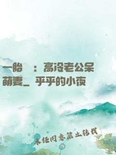 一胎兩寶：高冷老公呆萌妻