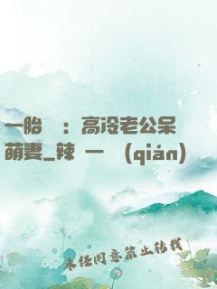 一胎兩寶：高冷老公呆萌妻