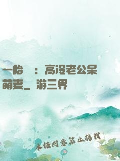 一胎兩寶：高冷老公呆萌妻