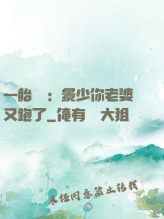 一胎雙寶：景少你老婆又跑了