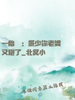 一胎雙寶：景少你老婆又跑了