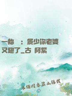 一胎雙寶：景少你老婆又跑了