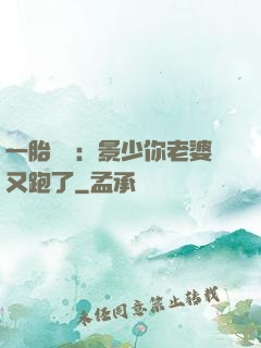 一胎雙寶：景少你老婆又跑了