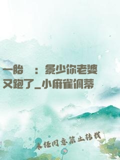 一胎雙寶：景少你老婆又跑了