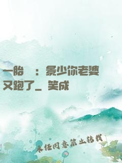一胎雙寶：景少你老婆又跑了