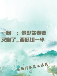 一胎雙寶：景少你老婆又跑了
