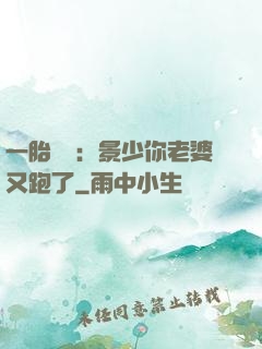 一胎雙寶：景少你老婆又跑了