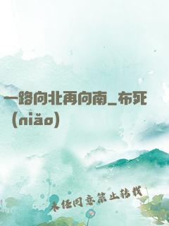一路向北再向南