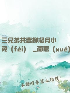 三兄弟共妻柳凝月小說免費(fèi)閱讀