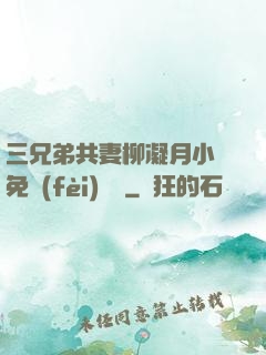 三兄弟共妻柳凝月小說免費(fèi)閱讀