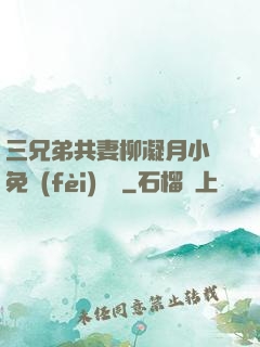 三兄弟共妻柳凝月小說免費(fèi)閱讀