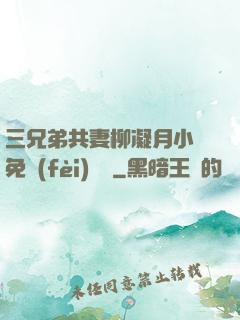 三兄弟共妻柳凝月小說免費(fèi)閱讀