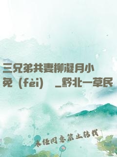 三兄弟共妻柳凝月小說免費(fèi)閱讀