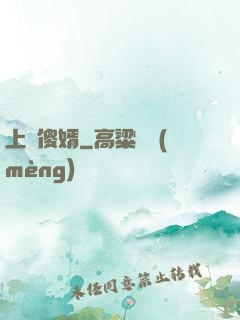 上門傻婿