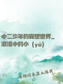 中二少年的妄想世界