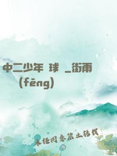 中二少年籃球夢