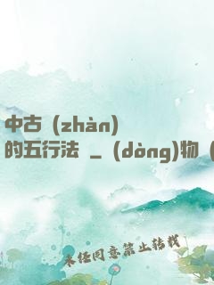 中古戰(zhàn)錘的五行法師