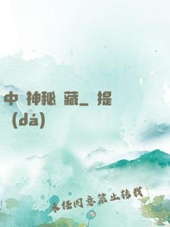 中國神秘寶藏