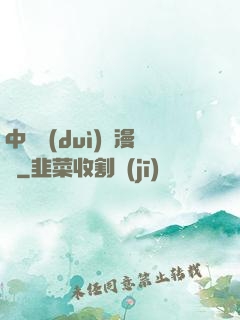 中國隊(duì)長漫畫
