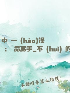 中華一號(hào)保鏢：極品高手