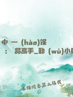 中華一號(hào)保鏢：極品高手
