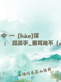 中華一號(hào)保鏢：極品高手