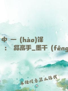 中華一號(hào)保鏢：極品高手