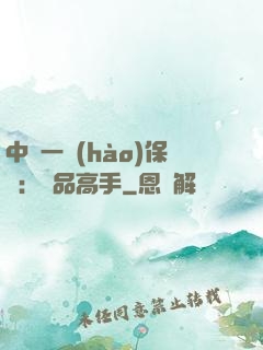 中華一號(hào)保鏢：極品高手