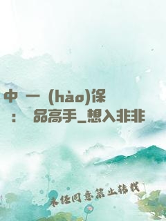 中華一號(hào)保鏢：極品高手