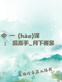中華一號(hào)保鏢：極品高手