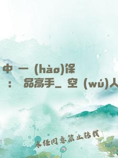 中華一號(hào)保鏢：極品高手