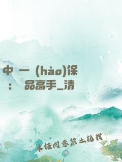 中華一號(hào)保鏢：極品高手