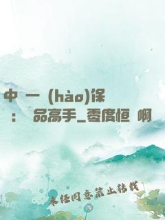 中華一號(hào)保鏢：極品高手