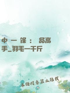 中華一號保鏢：極品高手