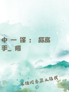 中華一號保鏢：極品高手