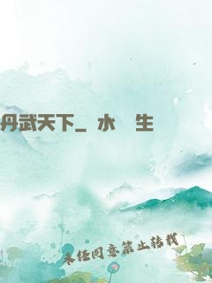 丹武天下