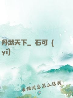 丹武天下