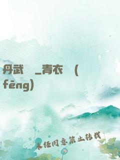 丹武無敵
