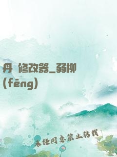 丹藥修改器
