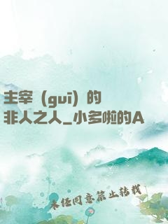 主宰規(guī)則的非人之人